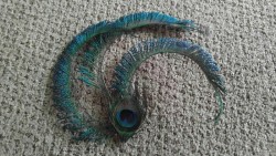 Large Hair Accessory