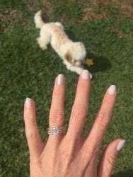 9x7 mm cushion moissanite ring